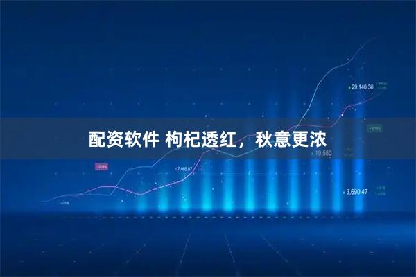配资软件 枸杞透红，秋意更浓